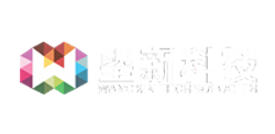 望新（上海）科技有限公司